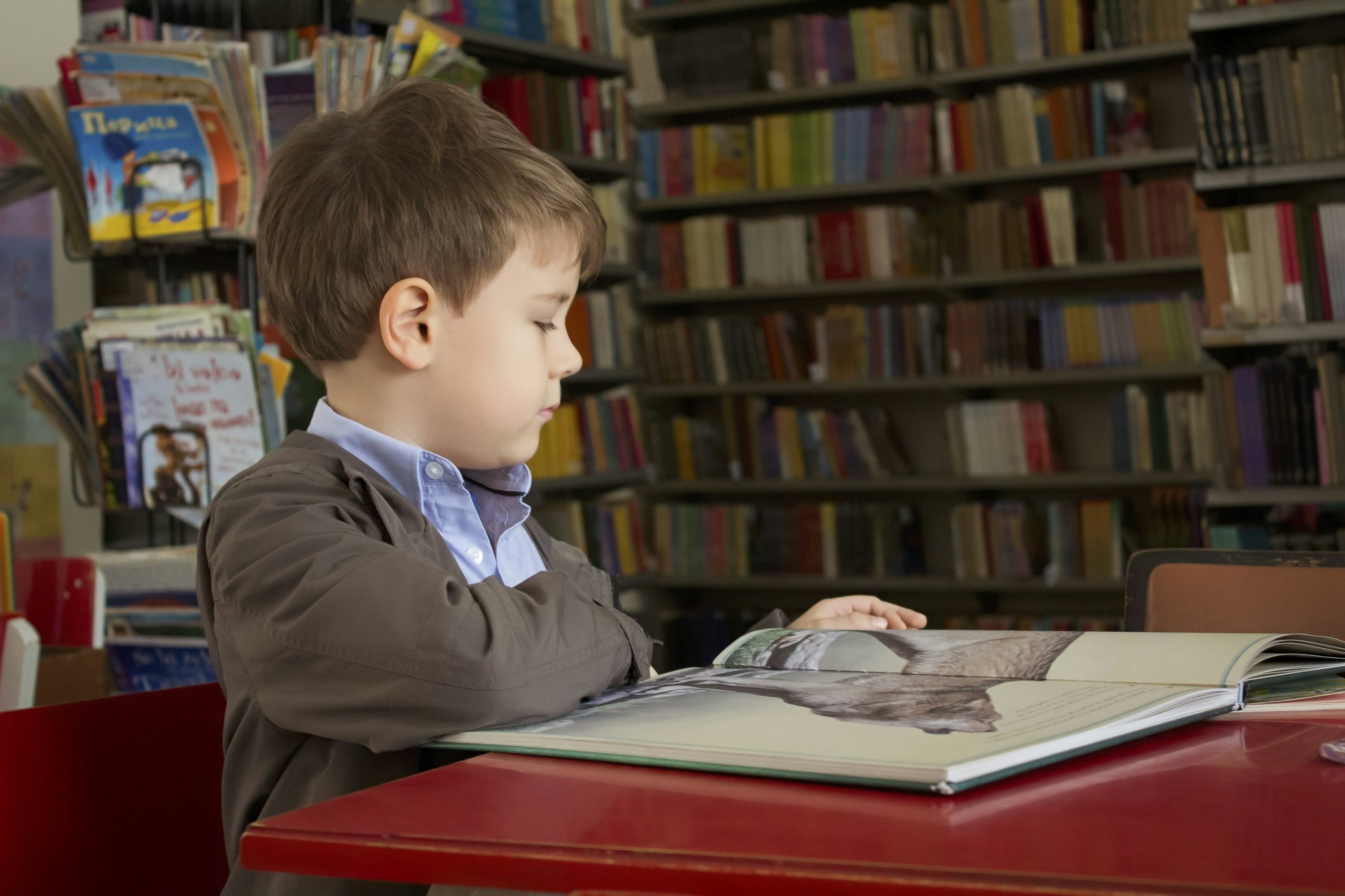 Estudante lendo em biblioteca escolar entre estantes de livros.