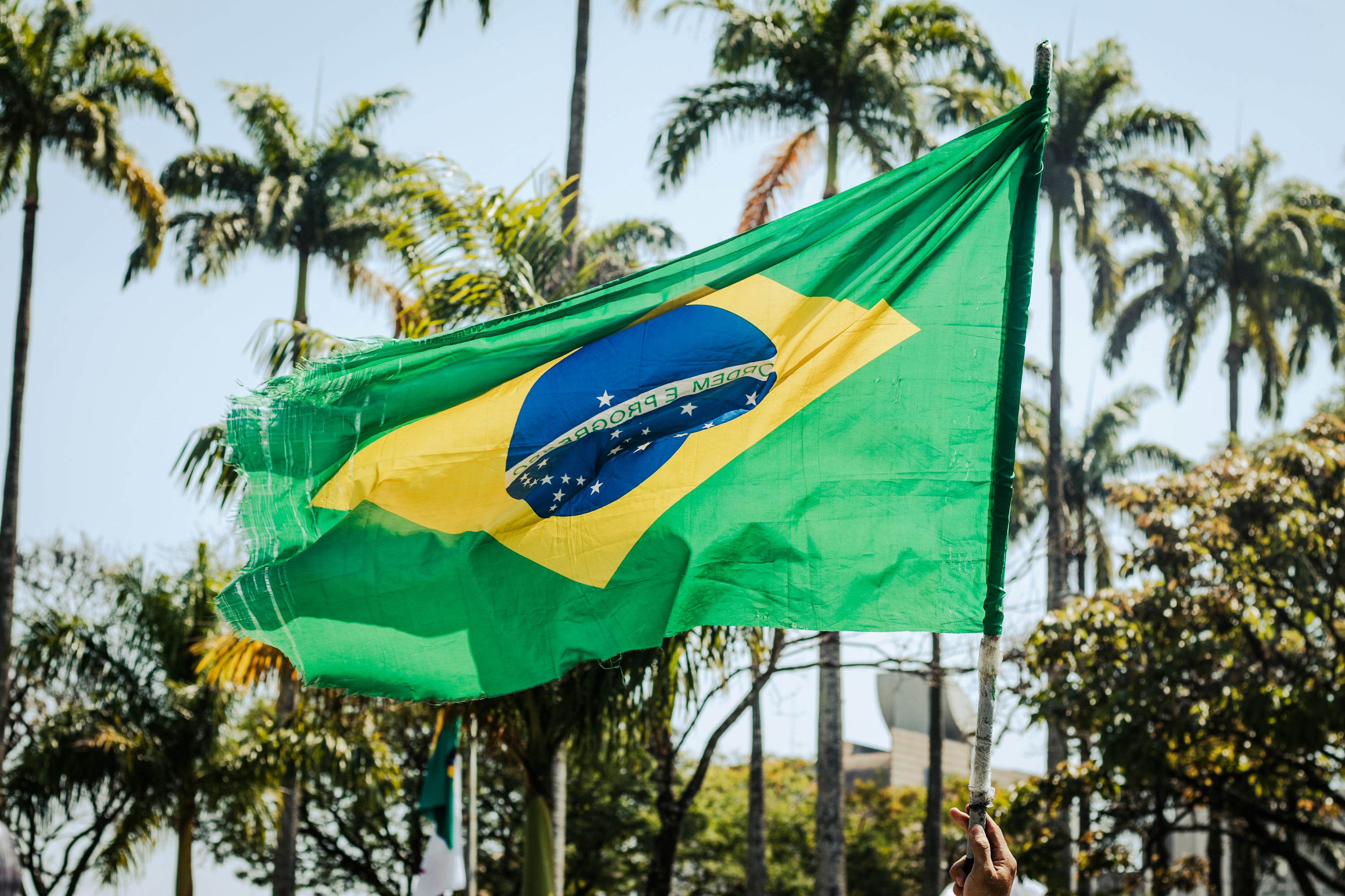 Bandeira do Brasil hasteada diante de palmeiras e céu azul.
