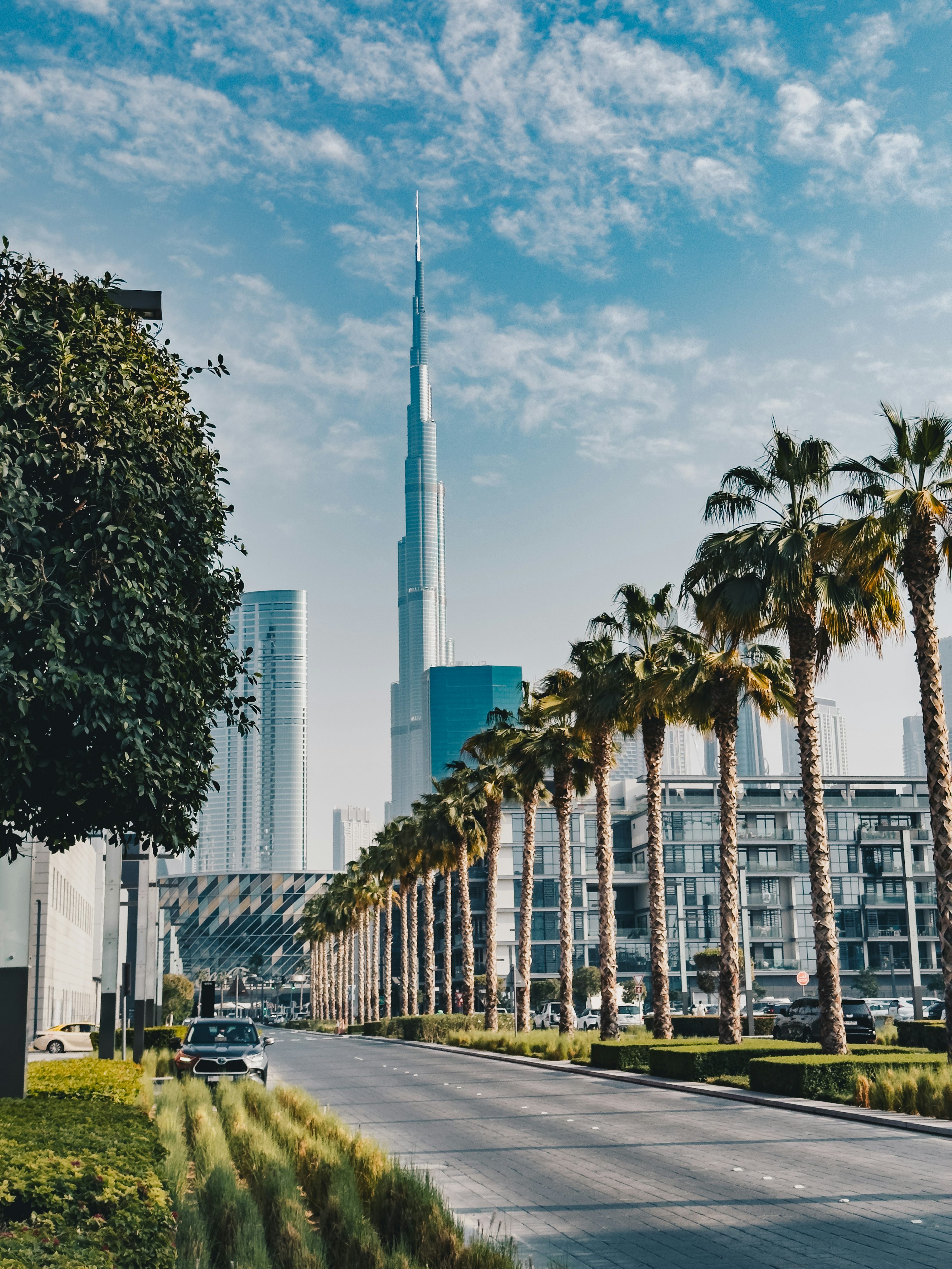 Avenida urbana de Dubai com palmeiras e edifícios modernos.
