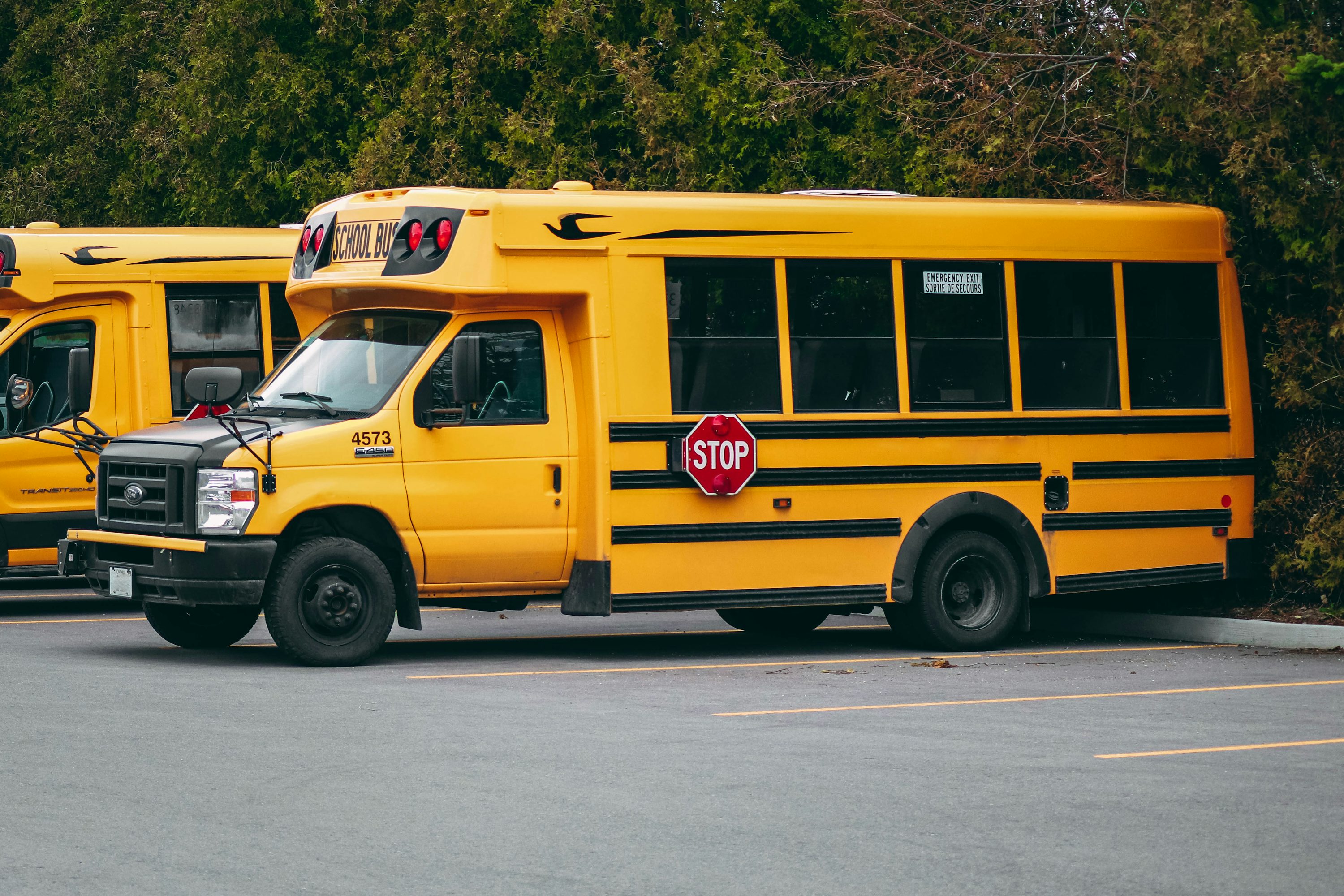Dois ônibus escolares amarelos estacionados em frente a edifício escolar.